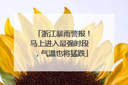 浙江暴雨警报！马上进入最强时段，气温也将猛跌