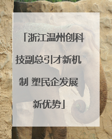 浙江温州创科技副总引才新机制 塑民企发展新优势