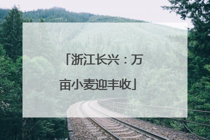 浙江长兴：万亩小麦迎丰收