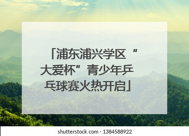 浦东浦兴学区“大爱杯”青少年乒乓球赛火热开启
