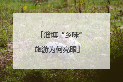 淄博“乡味”旅游为何亮眼