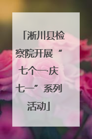 淅川县检察院开展“七个一·庆七一”系列活动