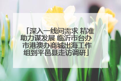 深入一线问需求 精准助力谋发展 临沂市台办 市港澳办商城出海工作组到平邑县走访调研