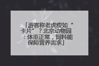 游客称老虎瘦如“卡片”？北京动物园：体重正常，饲料能保障营养需求