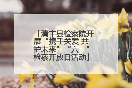 清丰县检察院开展“携手关爱 共护未来”“六一”检察开放日活动