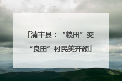 清丰县：“粮田”变“良田”村民笑开颜