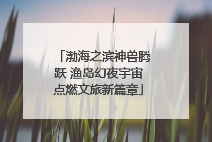 渤海之滨神兽腾跃 渔岛幻夜宇宙点燃文旅新篇章