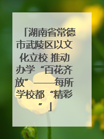 湖南省常德市武陵区以文化立校 推动办学“百花齐放”——每所学校都“精彩”