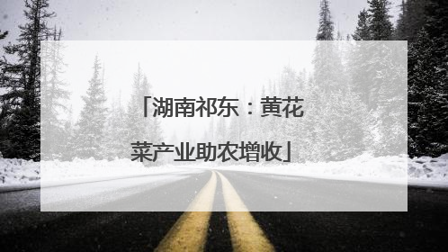 湖南祁东：黄花菜产业助农增收