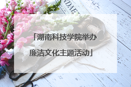 湖南科技学院举办廉洁文化主题活动