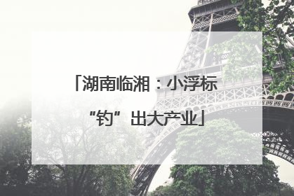 湖南临湘：小浮标“钓”出大产业