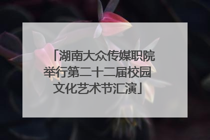 湖南大众传媒职院举行第二十二届校园文化艺术节汇演