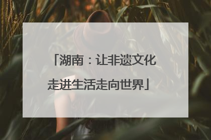 湖南：让非遗文化走进生活走向世界