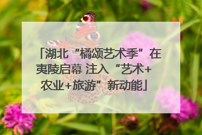 湖北“橘颂艺术季”在夷陵启幕 注入“艺术+农业+旅游”新动能