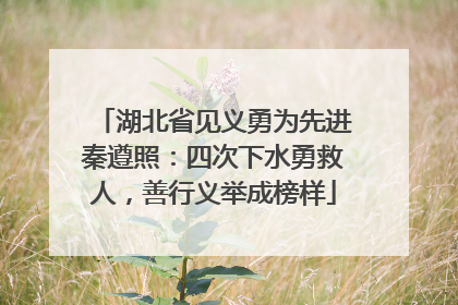 湖北省见义勇为先进秦遵照：四次下水勇救人，善行义举成榜样