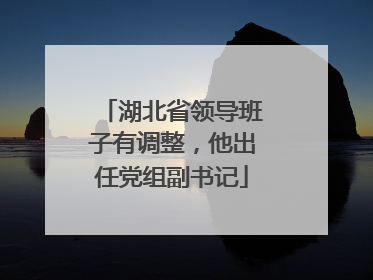 湖北省领导班子有调整，他出任党组副书记