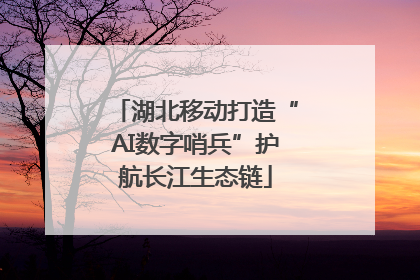 湖北移动打造“AI数字哨兵”护航长江生态链