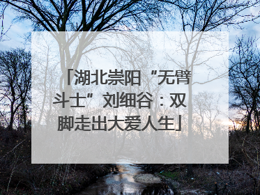 湖北崇阳“无臂斗士”刘细谷：双脚走出大爱人生