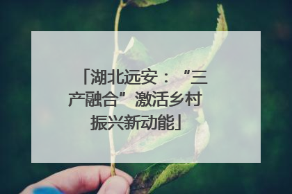 湖北远安：“三产融合”激活乡村振兴新动能