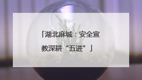 湖北麻城：安全宣教深耕“五进”