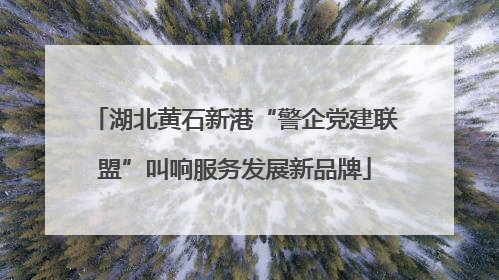 湖北黄石新港“警企党建联盟”叫响服务发展新品牌