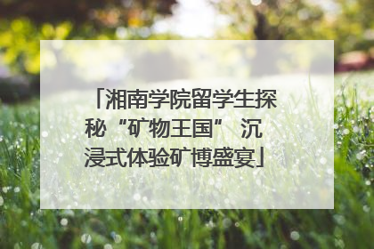 湘南学院留学生探秘“矿物王国” 沉浸式体验矿博盛宴