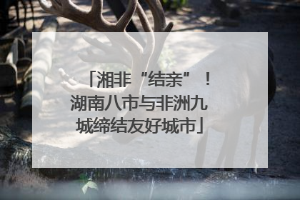 湘非“结亲”！湖南八市与非洲九城缔结友好城市