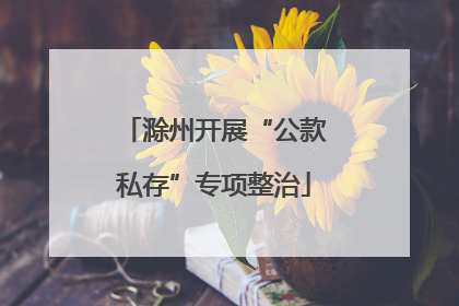 滁州开展“公款私存”专项整治