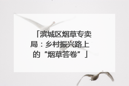 滨城区烟草专卖局：乡村振兴路上的“烟草答卷”