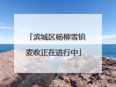 滨城区杨柳雪镇麦收正在进行中