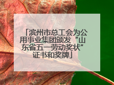 滨州市总工会为公用事业集团颁发“山东省五一劳动奖状”证书和奖牌