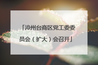 漳州台商区党工委委员会（扩大）会召开
