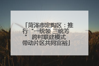 菏泽市定陶区：推行“一统领 三统筹” 跨村联建模式 带动片区共同富裕