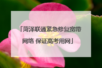 菏泽联通紧急修复宽带网络 保证高考用网