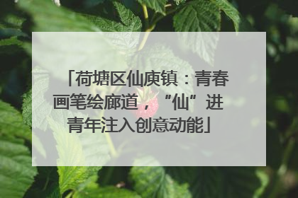 荷塘区仙庾镇：青春画笔绘廊道，“仙”进青年注入创意动能