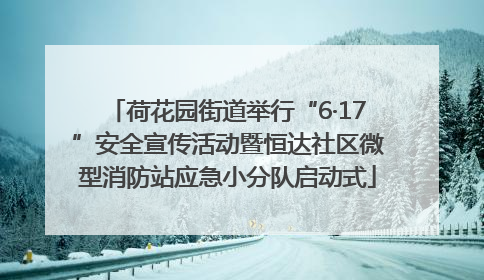荷花园街道举行“6·17”安全宣传活动暨恒达社区微型消防站应急小分队启动式