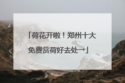 荷花开啦！郑州十大免费赏荷好去处→