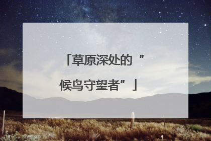 草原深处的“候鸟守望者”