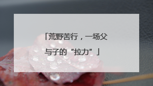 荒野苦行，一场父与子的“拉力”