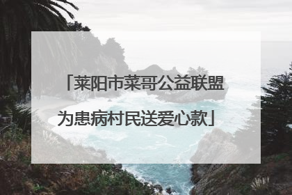 莱阳市菜哥公益联盟为患病村民送爱心款