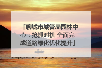聊城市城管局园林中心：抢抓时机 全面完成道路绿化优化提升