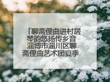 聊斋俚曲进村居 琴韵悠扬传乡音 淄博市淄川区聊斋俚曲艺术团夏季专场演出在杏园子村举行