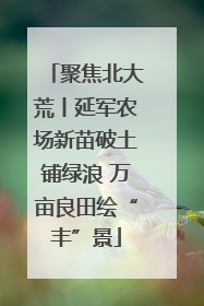 聚焦北大荒丨延军农场新苗破土铺绿浪 万亩良田绘“丰”景