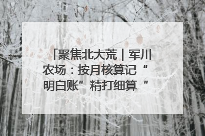 聚焦北大荒|军川农场:按月核算记“明白账”精打细算“过紧日子”