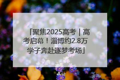 聚焦2025高考｜高考启幕！淄博约2.8万学子奔赴逐梦考场