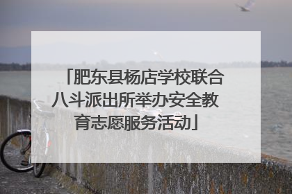 肥东县杨店学校联合八斗派出所举办安全教育志愿服务活动