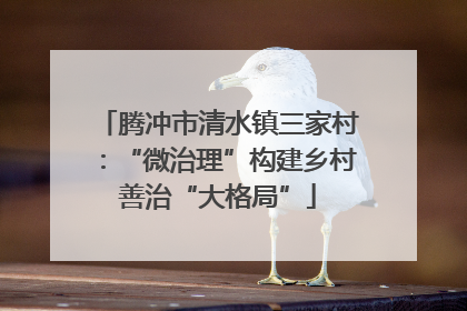 腾冲市清水镇三家村：“微治理”构建乡村善治“大格局”