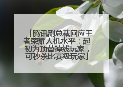 腾讯副总裁回应王者荣耀人机水平：起初为顶替掉线玩家，可秒杀比赛级玩家