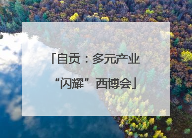 自贡：多元产业“闪耀”西博会