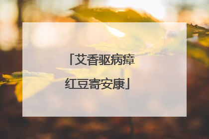 艾香驱病瘴 红豆寄安康